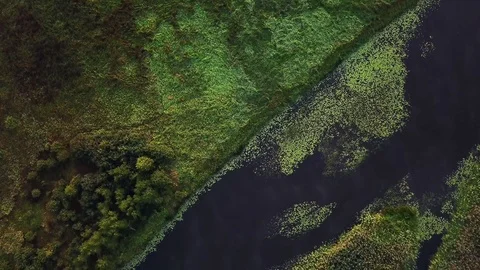 Top view of wetland Stock Footage 116497897