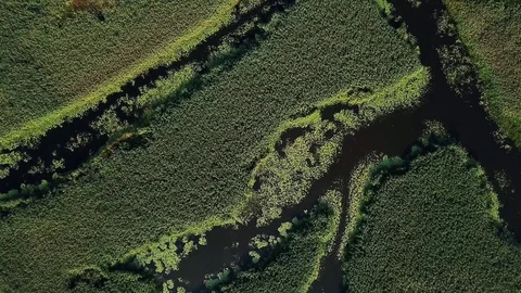 Top view of wetland Stock Footage 118004729