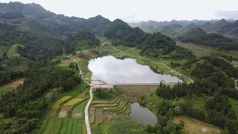 Top view of the wetlands of the island near the sea on land. Morning gloomy Stock Footage 166344116