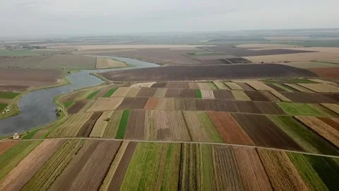 Top view of a wheat field. slow motion. Flying over a field of wheat. Modern Stock Footage 225238100