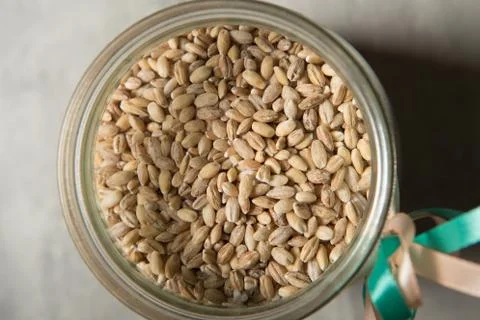 Top view of wheat seeds in opened glass jar decorated with white and blue rib Фото