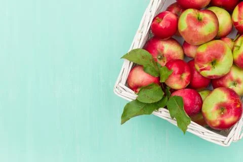 Top view on white basket full of fresh red organic apples on turquoise backgr Stock Photos