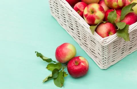 Top view on white basket full of fresh red organic apples on turquoise backgr Stock Photos
