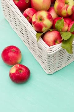 Top view on white basket full of fresh red organic apples on turquoise backgr Stock Photos