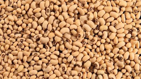 TOP VIEW: White beans on a background Stock Photos