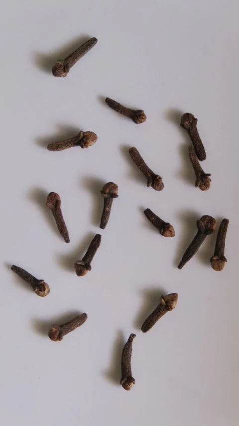 Top view of white camphor tablets Видео 330658435