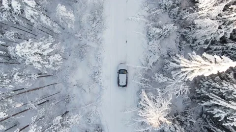 Top view white car drives in snowy pine forest Stock-Footage 147723745