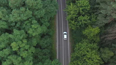 Top view of white car riding along road in green forest. Auto driving at route Stock Footage 181992299