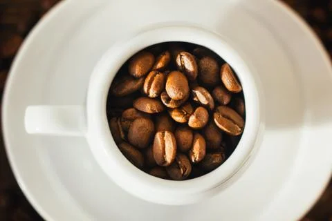 Top view of white coffee cup filled by coffee beans. Stock Photos