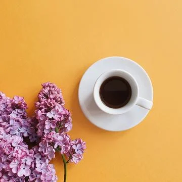 Top view of white cup of black coffee, lilac flower on yellow background Stock Photos