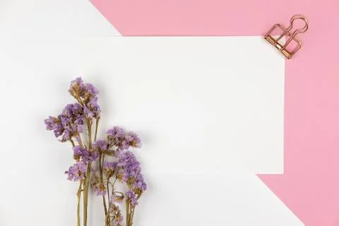 Top view of white empty paper with paper clip and violet statice flower Stock Photos