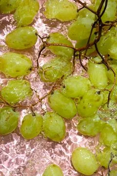 Top view of white grape bunch washing in clear water Stock Photos