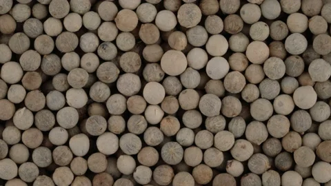 Top view of white pepper peppercorns rotating. Closeup. Macro. Stock Footage 170445533