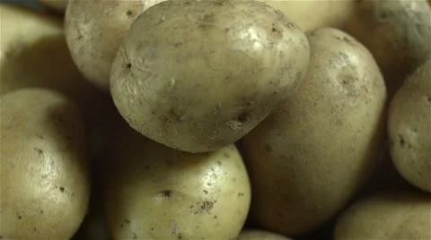 Top view of white potatoes rotating. Stock Footage 63338525