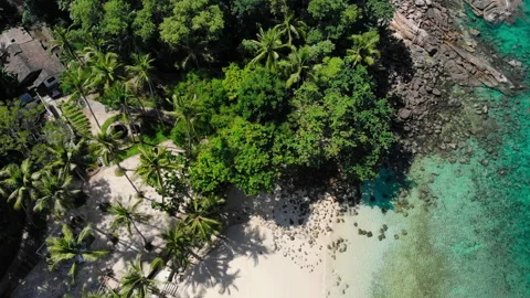 Top view of white sand beach with palms, rocks on the shore and blue water of Stock Footage 167408231