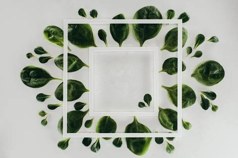 Top view white square frames Fotos Stock