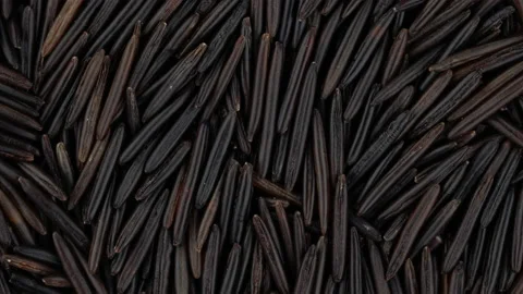 Top view of wild rice rotating. Closeup. Macro. Stock Footage 170663697