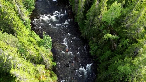 Top View Of A Wild River In Scandinavian Wilderness Stock Footage 255196368