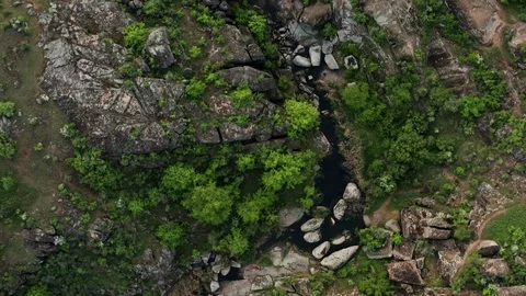 Top view of wild river in summer nature reserve drone footage Video stock 114589988