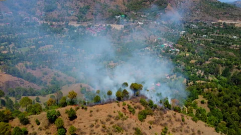 Top View Of Wildfire Spreading Stock Footage 152910081