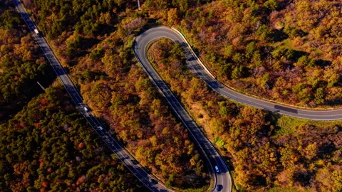 Top view of winding asphalt road in autumn forest 스톡 동영상 327929795