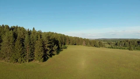 Top view of the winding river flowing through fields and forests Stock-Footage 111934752