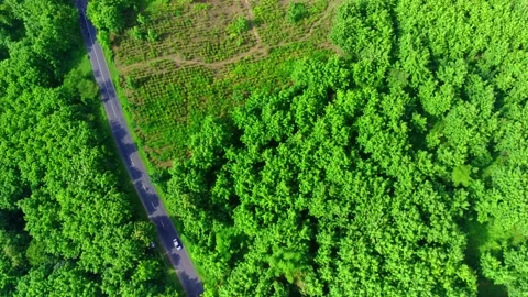 Top view of winding road between forests in Mojokerto, Central Java, Indonesia. Stock Footage 228972705