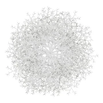 Top view of winter birch tree isolated on white background Stock Illustration