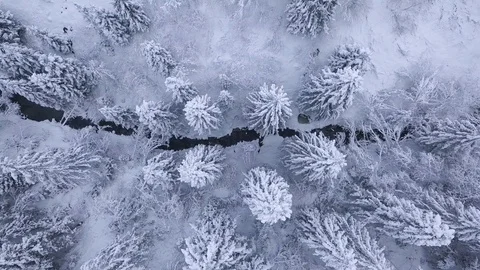 Top view of winter mountain river surrounded by trees and banks of snow-covered Stock Footage 87013518