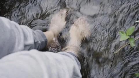 Top view of woman's feet in a puddle. Видео 253057774