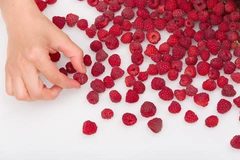 Top view on woman's hand picking fresh organic raspberries from white table.  Stock Photos
