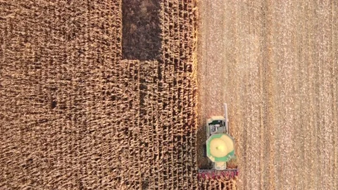 Top view of the work of the combine in the field Stock Footage 165847835