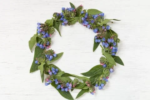 Top view on wreath frame made of blue garden flowers. Flat lay. Beautiful gar Stock Photos