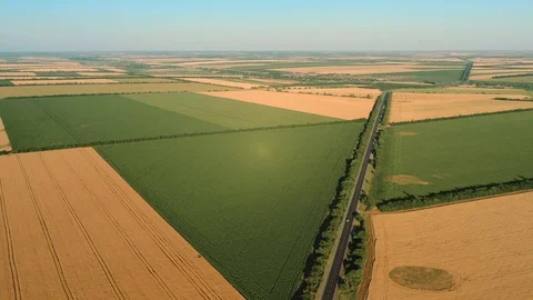 Top view of the yellow and green agricultural fields along the road. Vídeos de archivo 123107726