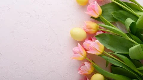 Top view yellow Easter eggs with pink tulips on pink background Stock Photos
