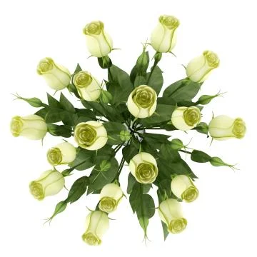 Top view of yellow eustoma flowers in glass vase isolated on white background Stock Illustration