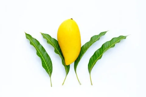 Top view of yellow mango with leaves, Tropical fruit juicy and sweet. Stock Photos