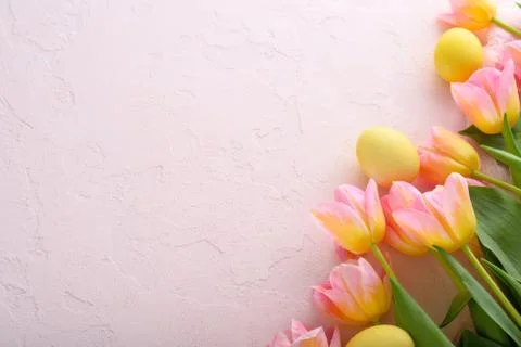Top view yellow pastel Easter eggs with pink tulips on pink background Stock Photos