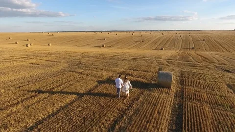 Top view of a young couple walking in a field at sunset Video stock 99821040