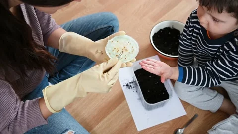 Top view of young mother and her little son preparing seedlings together. Stock Footage 180700120