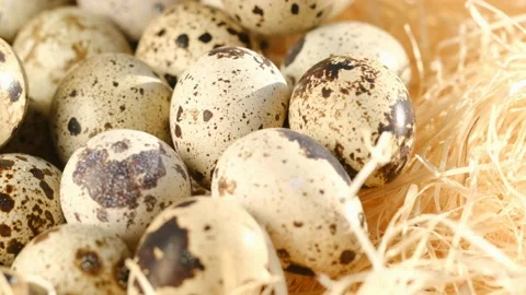 TOP VIEW:Close up of quail eggs in straw nest. Organic farming, natural still Stock Footage 169574446