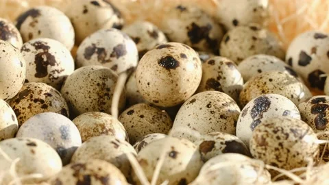 TOP VIEW:Close up of quail eggs in straw nest. Organic farming, natural still Video stock 182244667