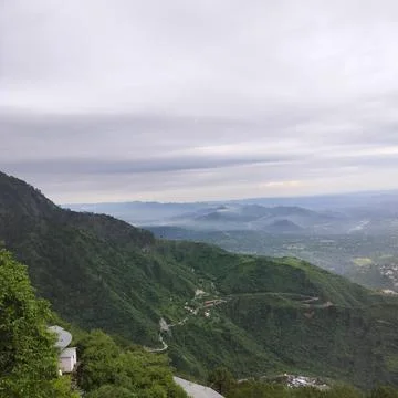 Top viewpoint in the green forest Stock Photos