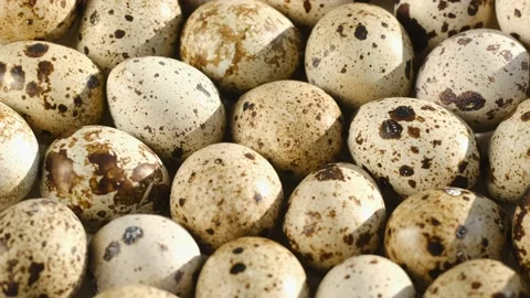 TOP VIEW:Rotating Quail Eggs . Top View. Close Up.Close-up of quail eggs a Video stock 172334508
