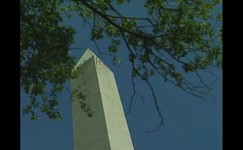 Top of Washington Monument seen behind tree branches Stock Footage 242568538
