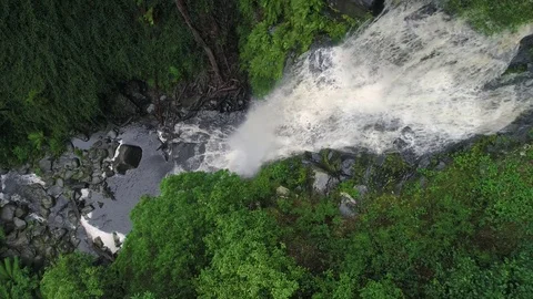 Top of watefall looking down in Rainforest Video stock 73715278