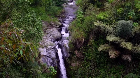 Top of Waterfall in the Rainforest Stock Footage 276734750