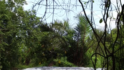 Top of  waterfall sorrounded by green trees Stock Footage 279004351