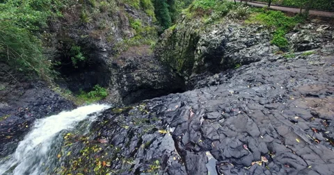 From the top of the waterfall Springbrook Stock Footage 68957313