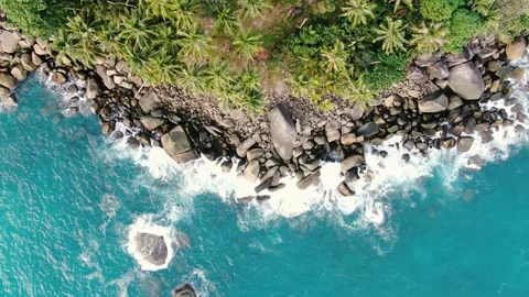 Top wave splashing rock stone coconut palm trees island. Stock Footage 208608482